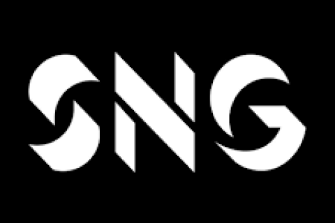 SNG Customer Income Advisor